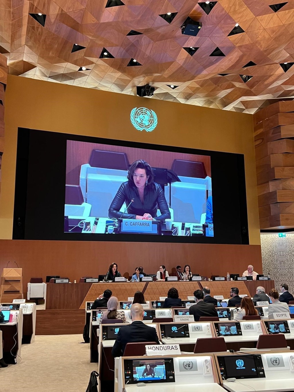 Talking Points: UNCTAD’s Intergovernmental Group of Experts on Competition Law and&nbsp;Policy